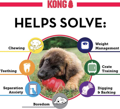 KONG Classic Dog Toy, Medium.